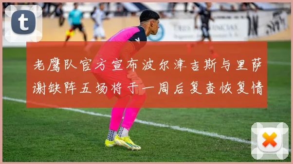 老鹰队官方宣布波尔津吉斯与里萨谢缺阵五场将于一周后复查恢复情况